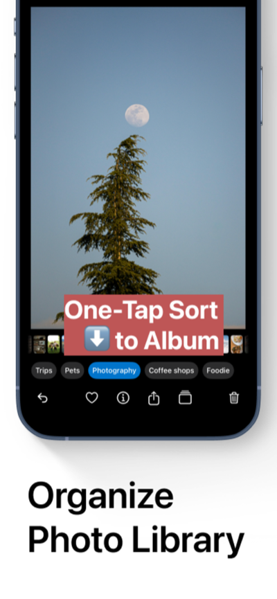 Tidify screenshot: one-tap sort to album